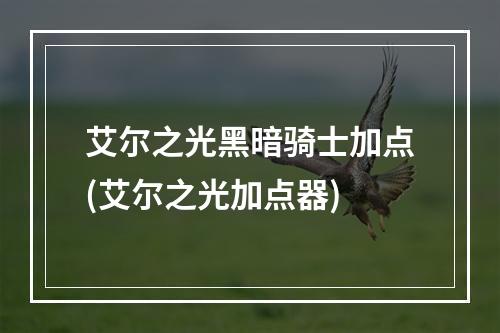 艾尔之光黑暗骑士加点(艾尔之光加点器)