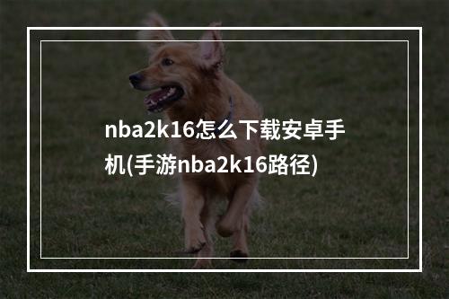 nba2k16怎么下载安卓手机(手游nba2k16路径)