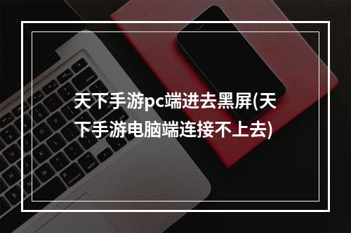 天下手游pc端进去黑屏(天下手游电脑端连接不上去)