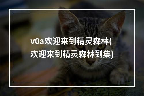 v0a欢迎来到精灵森林(欢迎来到精灵森林到集)