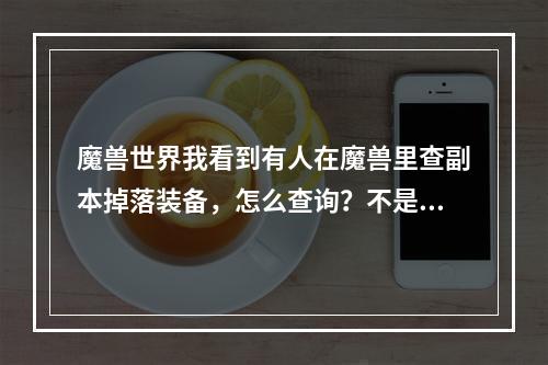 魔兽世界我看到有人在魔兽里查副本掉落装备，怎么查询？不是进副本查那种。(魔兽世界副本掉落查询)