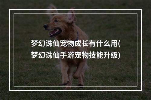 梦幻诛仙宠物成长有什么用(梦幻诛仙手游宠物技能升级)