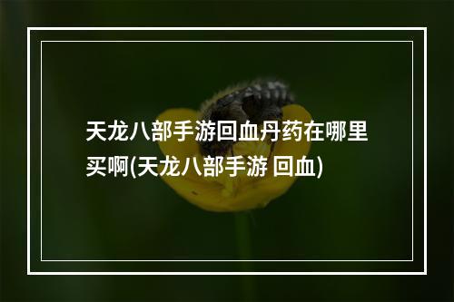 天龙八部手游回血丹药在哪里买啊(天龙八部手游 回血)