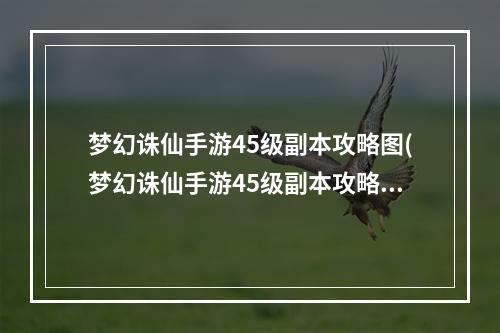 梦幻诛仙手游45级副本攻略图(梦幻诛仙手游45级副本攻略)