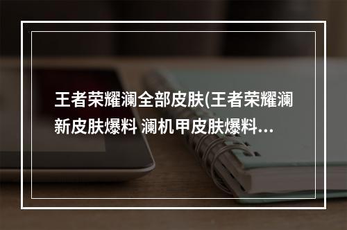 王者荣耀澜全部皮肤(王者荣耀澜新皮肤爆料 澜机甲皮肤爆料)