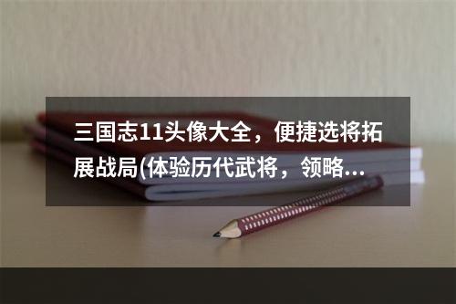 三国志11头像大全，便捷选将拓展战局(体验历代武将，领略三国传奇之美)