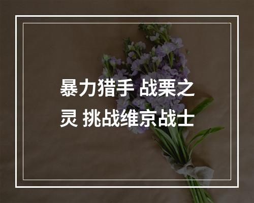 暴力猎手 战栗之灵 挑战维京战士