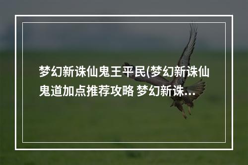 梦幻新诛仙鬼王平民(梦幻新诛仙鬼道加点推荐攻略 梦幻新诛仙鬼道加点推荐)