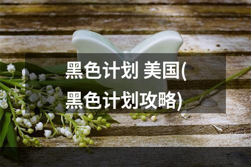 黑色计划 美国(黑色计划攻略)