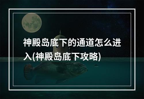 神殿岛底下的通道怎么进入(神殿岛底下攻略)