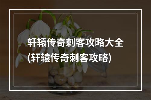 轩辕传奇刺客攻略大全(轩辕传奇刺客攻略)