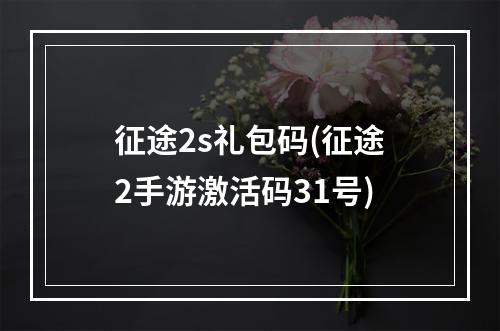 征途2s礼包码(征途2手游激活码31号)