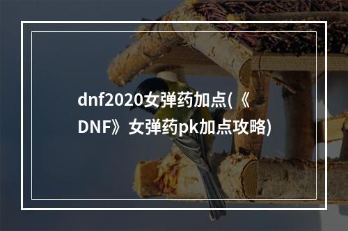 dnf2020女弹药加点(《DNF》女弹药pk加点攻略)