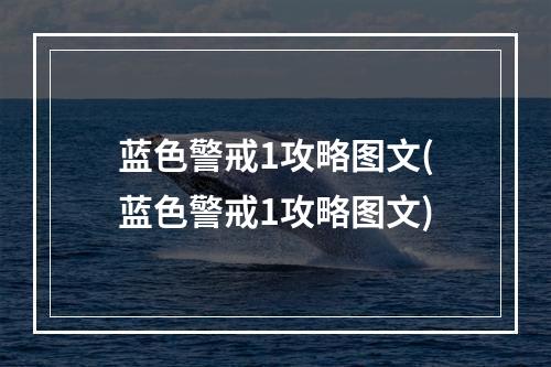 蓝色警戒1攻略图文(蓝色警戒1攻略图文)