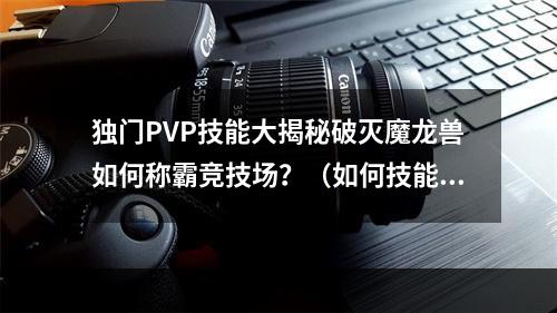 独门PVP技能大揭秘破灭魔龙兽如何称霸竞技场？（如何技能搭配、装备选择、战术思路等）