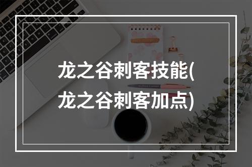 龙之谷刺客技能(龙之谷刺客加点)