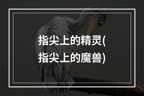 指尖上的精灵(指尖上的魔兽)