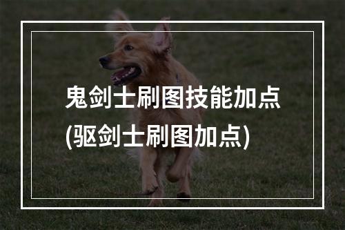 鬼剑士刷图技能加点(驱剑士刷图加点)