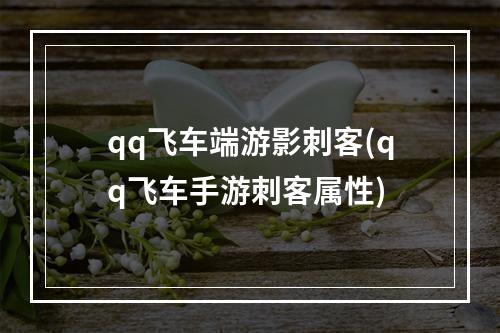 qq飞车端游影刺客(qq飞车手游刺客属性)