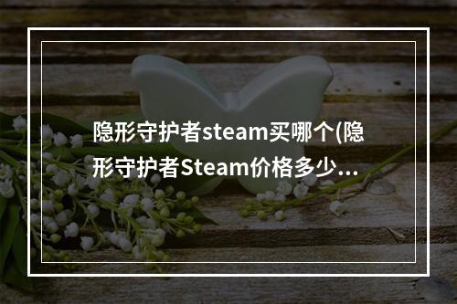 隐形守护者steam买哪个(隐形守护者Steam价格多少 销量第一的游戏需要什么配置)