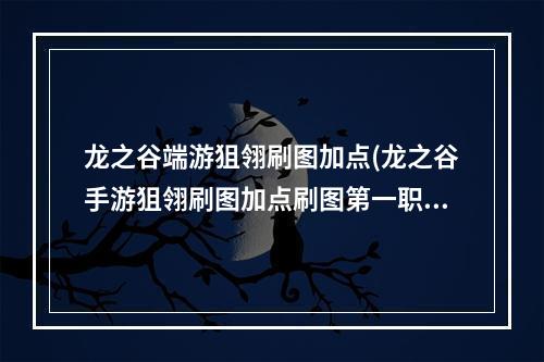 龙之谷端游狙翎刷图加点(龙之谷手游狙翎刷图加点刷图第一职业加点)