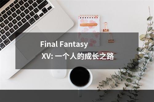 Final Fantasy XV: 一个人的成长之路