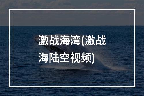 激战海湾(激战海陆空视频)