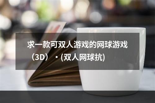 求一款可双人游戏的网球游戏（3D）・(双人网球抗)