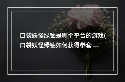 口袋妖怪绿铀是哪个平台的游戏(口袋妖怪绿铀如何获得拳套 口袋妖怪绿铀获得拳套方法 历)