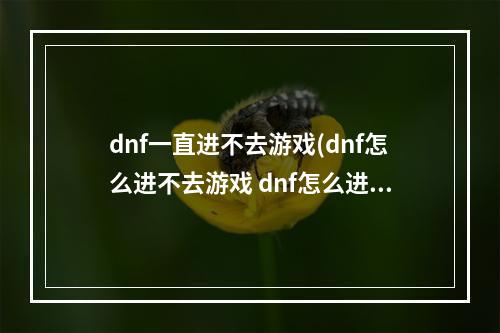 dnf一直进不去游戏(dnf怎么进不去游戏 dnf怎么进不去游戏了  )