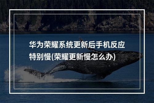 华为荣耀系统更新后手机反应特别慢(荣耀更新慢怎么办)