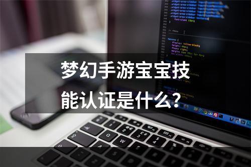 梦幻手游宝宝技能认证是什么？