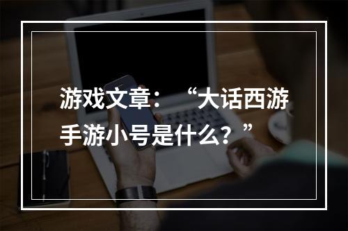 游戏文章：“大话西游手游小号是什么？”