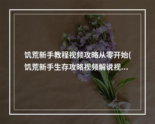 饥荒新手教程视频攻略从零开始(饥荒新手生存攻略视频解说视频攻略)