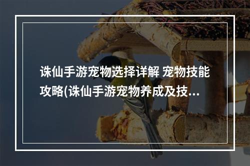 诛仙手游宠物选择详解 宠物技能攻略(诛仙手游宠物养成及技能预测)