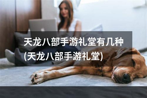 天龙八部手游礼堂有几种(天龙八部手游礼堂)