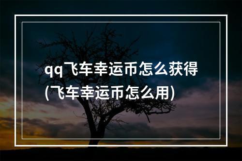 qq飞车幸运币怎么获得(飞车幸运币怎么用)