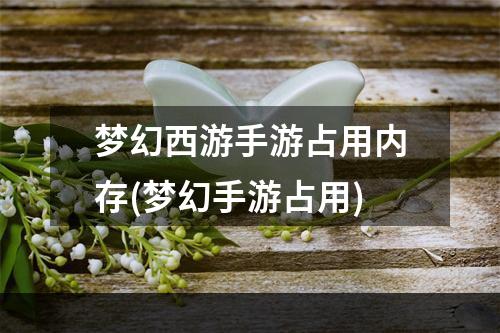 梦幻西游手游占用内存(梦幻手游占用)