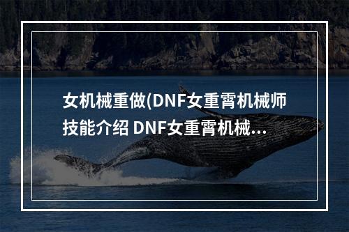 女机械重做(DNF女重霄机械师技能介绍 DNF女重霄机械师三次觉醒)