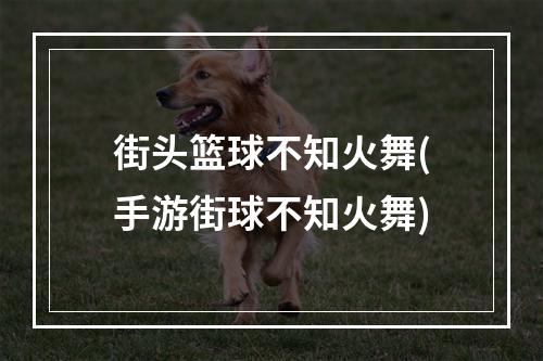 街头篮球不知火舞(手游街球不知火舞)