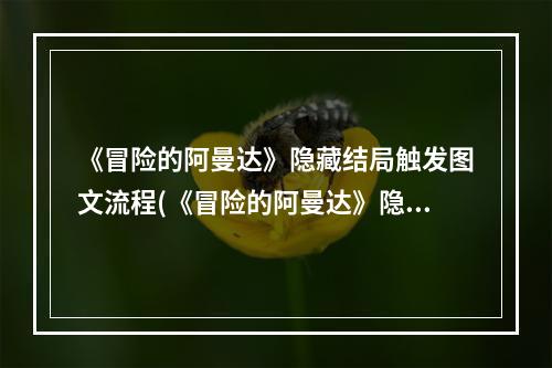 《冒险的阿曼达》隐藏结局触发图文流程(《冒险的阿曼达》隐藏结局触发图文流程  )