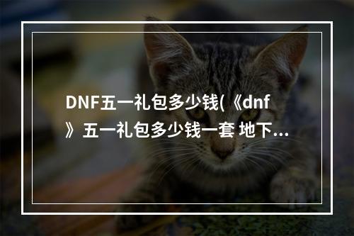 DNF五一礼包多少钱(《dnf》五一礼包多少钱一套 地下城与勇士五一套值得买吗)