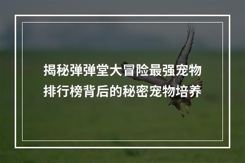 揭秘弹弹堂大冒险最强宠物排行榜背后的秘密宠物培养