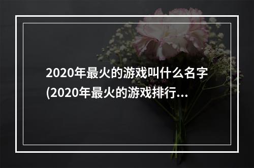 2020年最火的游戏叫什么名字(2020年最火的游戏排行榜)