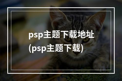 psp主题下载地址(psp主题下载)