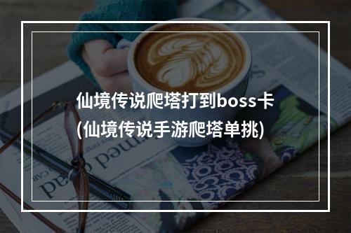 仙境传说爬塔打到boss卡(仙境传说手游爬塔单挑)