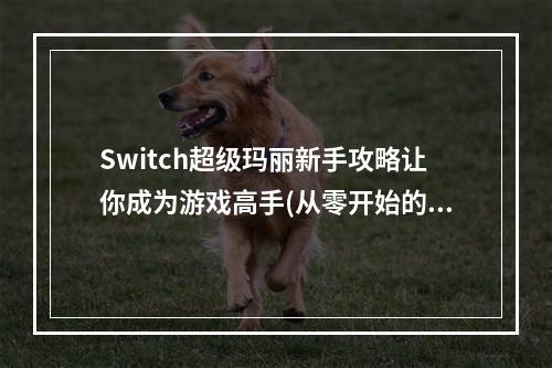 Switch超级玛丽新手攻略让你成为游戏高手(从零开始的超级玛丽之旅)