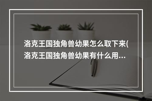 洛克王国独角兽幼果怎么取下来(洛克王国独角兽幼果有什么用)