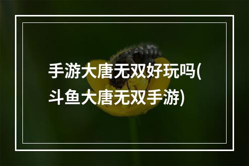 手游大唐无双好玩吗(斗鱼大唐无双手游)