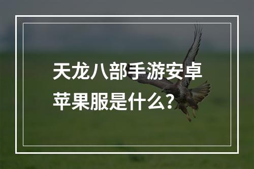 天龙八部手游安卓苹果服是什么？